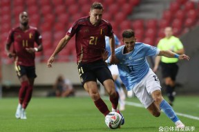 哈兰德在法国队比赛中比赛规则变更，败北引发热议！赛场气氛高涨的简单介绍-九游体育